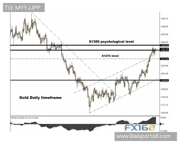 足球财富的崛起与未来发展趋势探讨及其对全球经济的影响分析